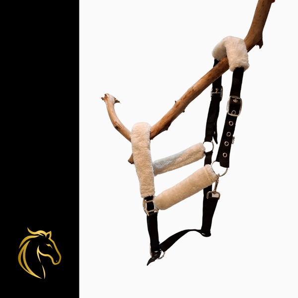 Riimu Komea pehmusteilla.